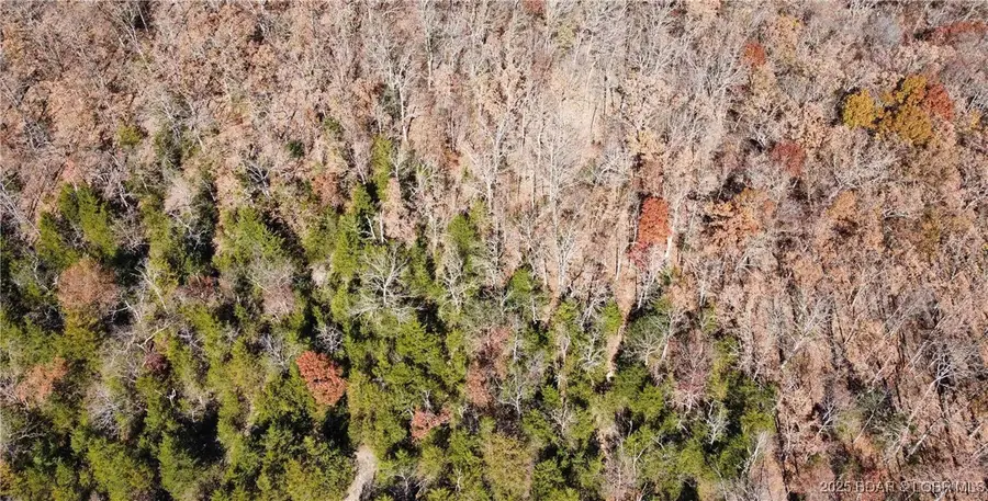 11.8 Acres Whitetail Way, Lincoln, MO 65338 - Image #3