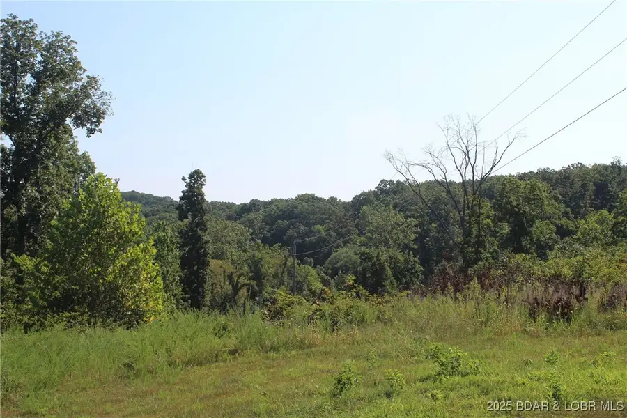 382 Spring Cove Road, Sunrise Beach, MO 65079 - Image #2