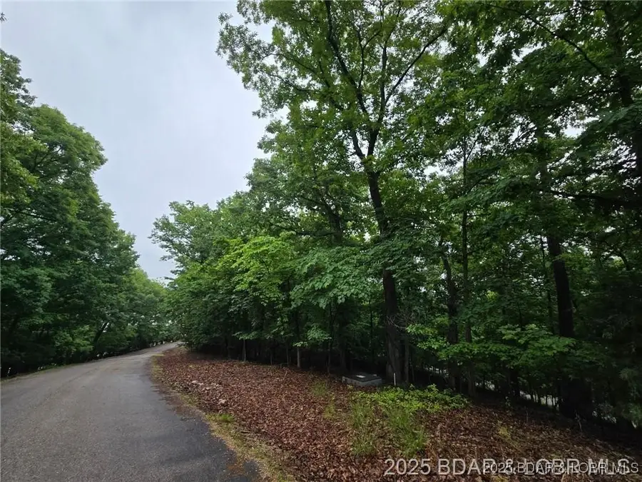 Via Del Lago Drive, Sunrise Beach, MO 65079 - Image #2