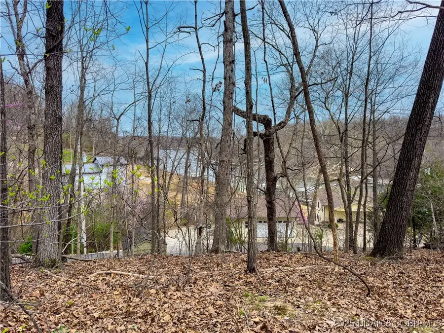 Langford Lane, Camdenton, MO 65020 - Image #2