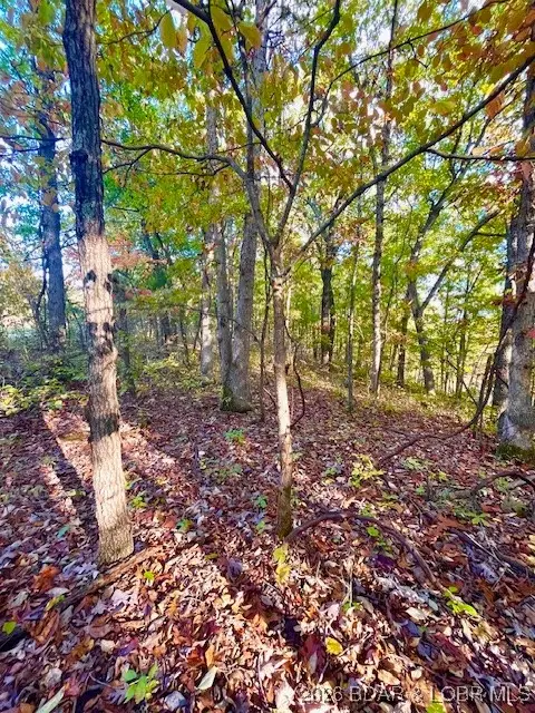 Lot# 4 & 5 Lakewood Lane, Barnett, MO 65011 - Image #2