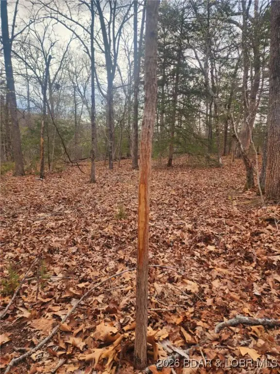 Lot 2 State Aa Road, Roach, MO 65787 - Image #2