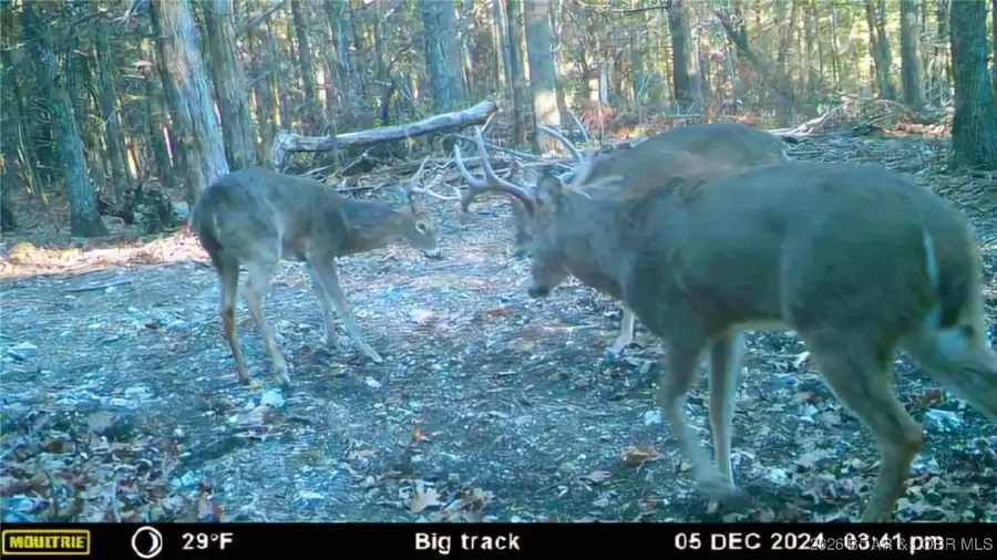 Lot 2 State Aa Road, Roach, MO 65787 - Image #3