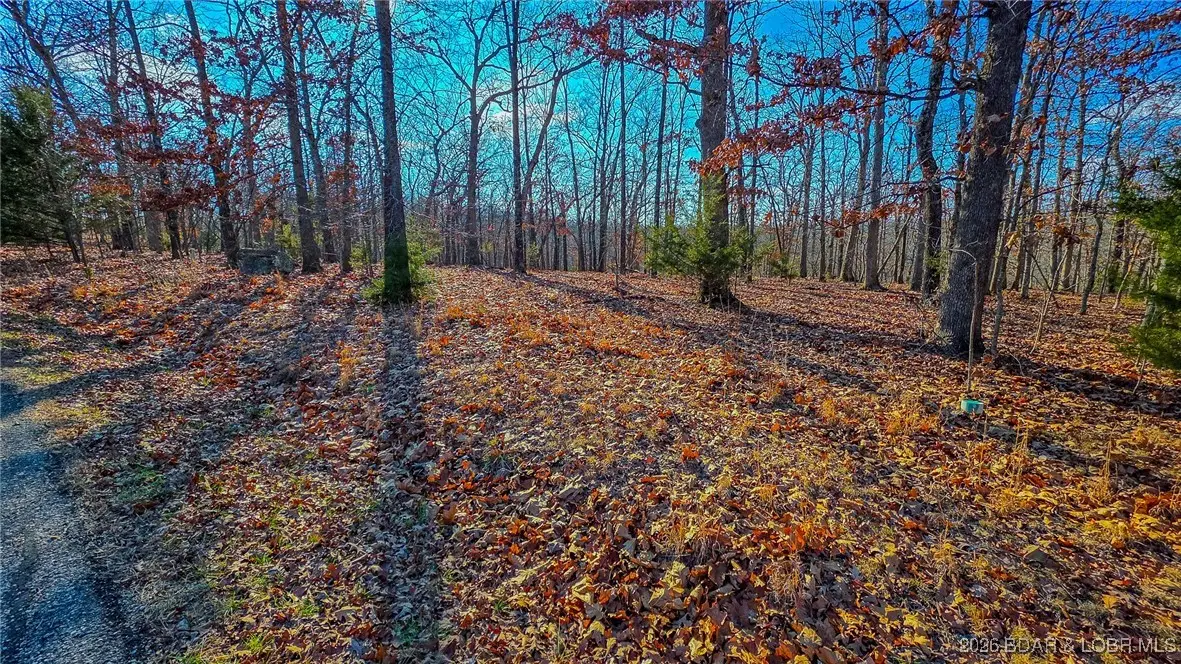 Lot #774 Muirfield Drive, Sunrise Beach, MO 65079 - Image #1