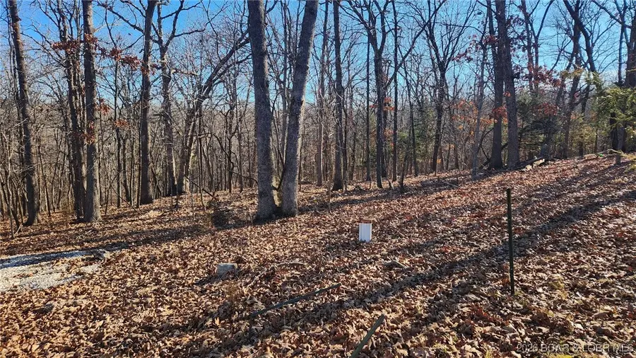 Lot 29 Cove Road, Osage Beach, MO 65065 - Image #2