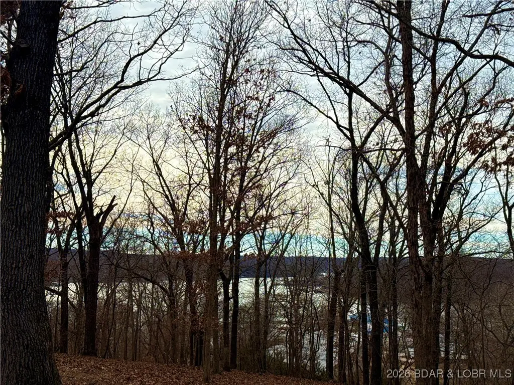 Lot 10 Ivy Bend Rd, Stover, MO 65078 - Image #1