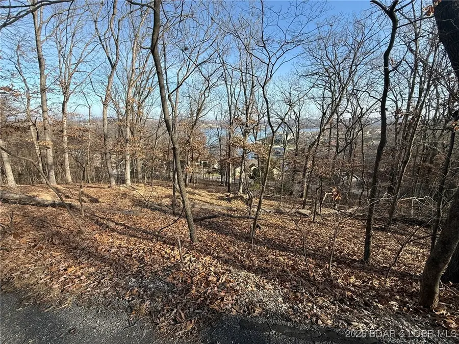 1401 Via Del Lago Drive, Sunrise Beach, MO 65079 - Image #3