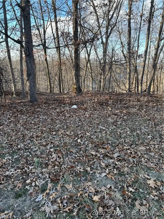 Carol Rd., Lake Ozark, MO 65049 - Image #3