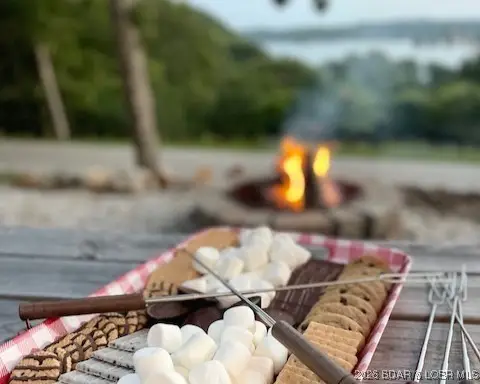 1139 Camp Hohn Drive, Gravois Mills, MO 65037 - Image #3