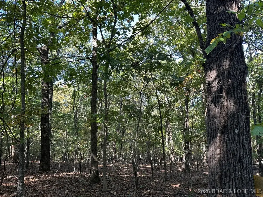 186 Ed Drive, Camdenton, MO 65020 - Image #3