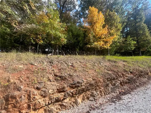 521 Palisades Drive, Four Seasons, MO 65049