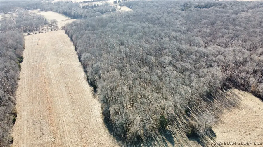 27710 Woodhaven Road, Edwards, MO 65326 - #3