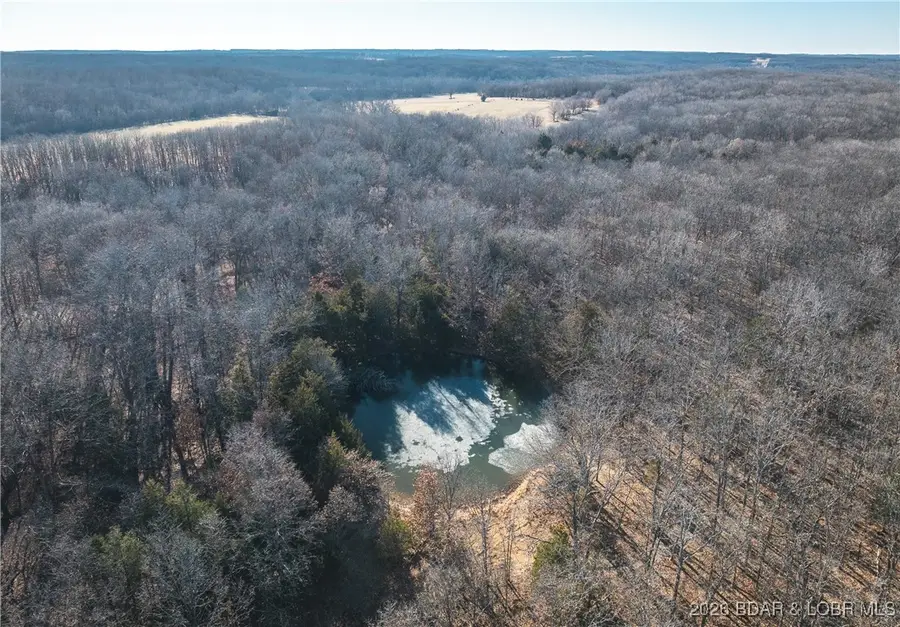 38925 Stone Piler Avenue, Edwards, MO 65326 - #3