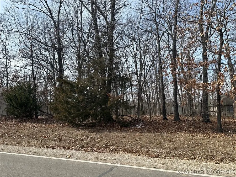 Lot 157 Anemone Road, Village Of Four Seasons, MO 65049 - #3