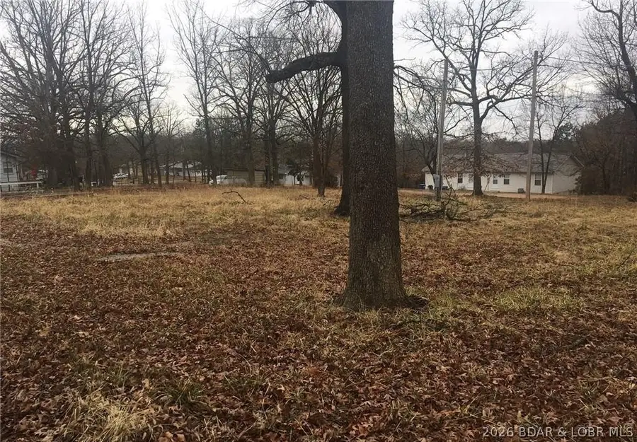 Lots 2,3,7 & 8 Morgan St, Camdenton, MO 65020 - #3