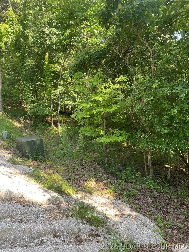 Lot 125 Veronica Lane, Lake Ozark, MO 65049 - #2
