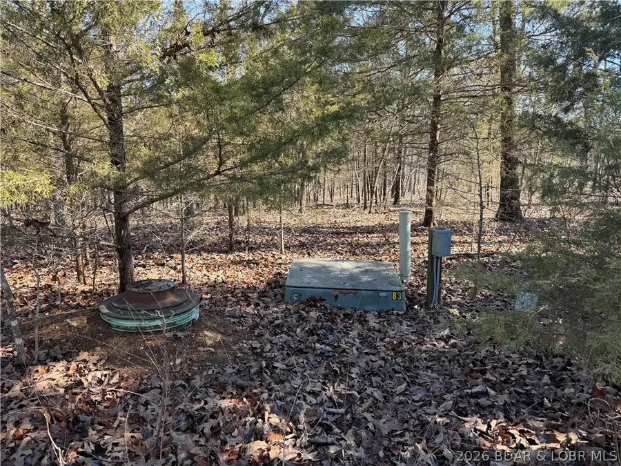 1082 Morningside Drive, Sunrise Beach, MO 65079 - #3