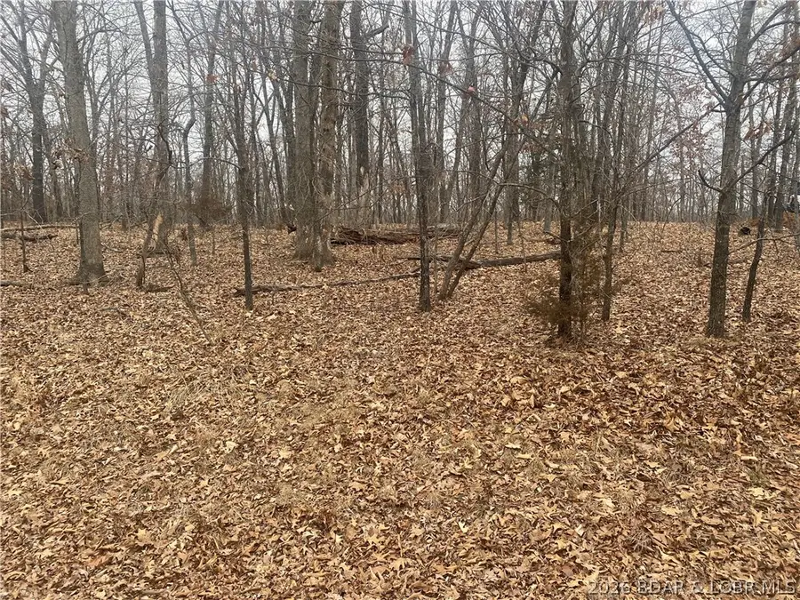 Lot 1341 Champions Drive, Sunrise Beach, MO 65079 - #2