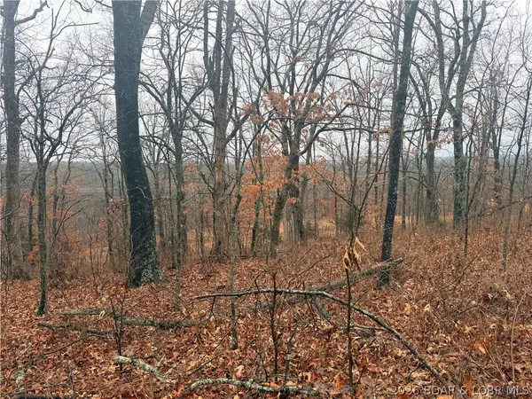 Nile Road, Stover, MO 65078