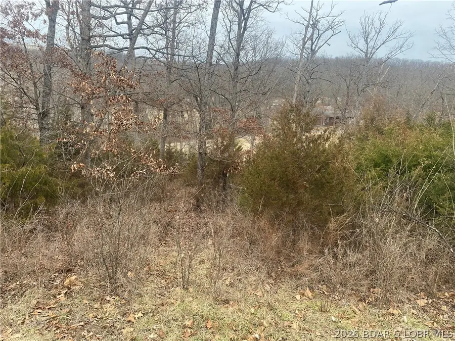 Lot 50 Country Club Cove Drive, Lake Ozark, MO 65049 - #2
