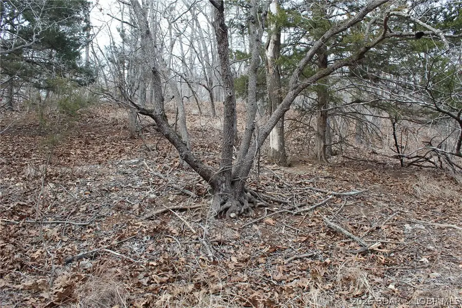 35.14 Acres Troutdale Road, Versailles, MO 65084 - #3