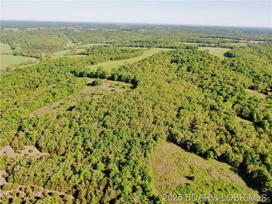 29601 Bear Road, Richland, MO 65556 - #3