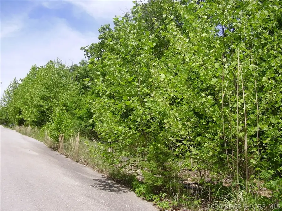 21 Silver Spur Court, Camdenton, MO 65020 - #3