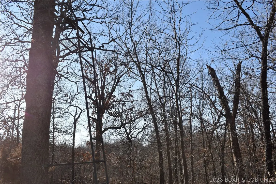 000 Restoration Hill Rd, Camdenton, MO 65020 - #1