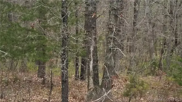 TBD Mo State Hwy-w, Versailles, MO 65011