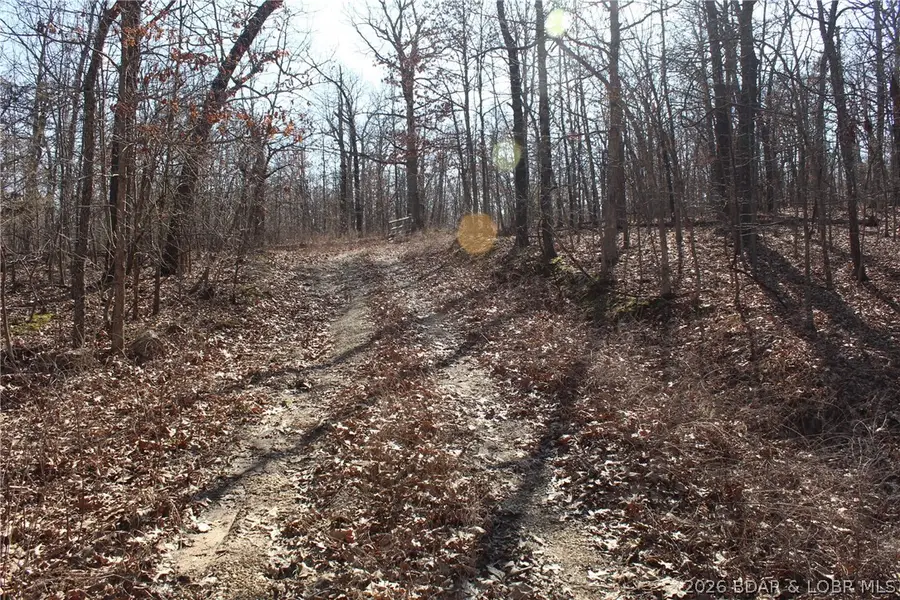 28311 135 Highway, Gravois Mills, MO 65037 - #3