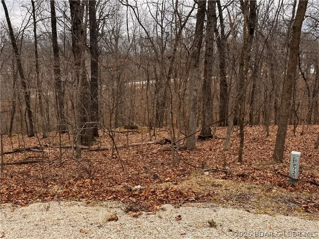 718 & 719 Fairlawn Circle, Lake Ozark, MO 65049 - #1