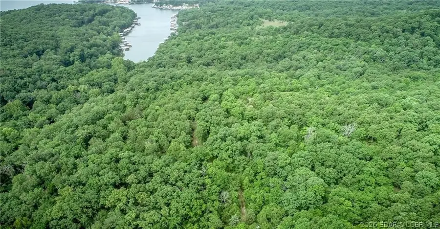 17ac Forrest Hill Lane, Gravois Mills, MO 65037 - #3