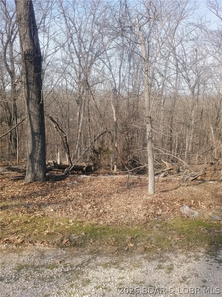 TBD LOT 46 Bloomington Drive, Village Of Four Seasons, MO 65049 - #3