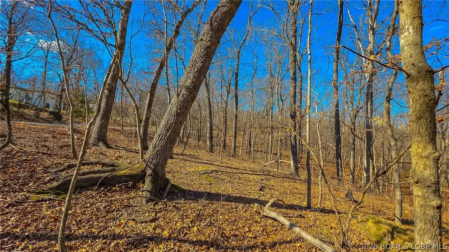 Lot #323 Oak Drive, Sunrise Beach, MO 65079 - #3