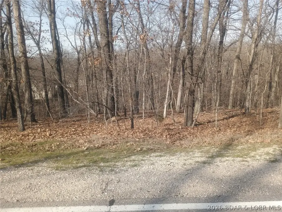 TBD LOT 47 & 48 Bloomington Drive, Village Of Four Seasons, MO 65020 - #2