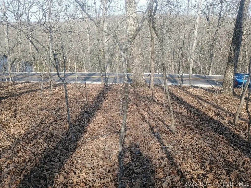 TBD LOT 344 Austin Drive, Village Of Four Seasons, MO 65049 - #1