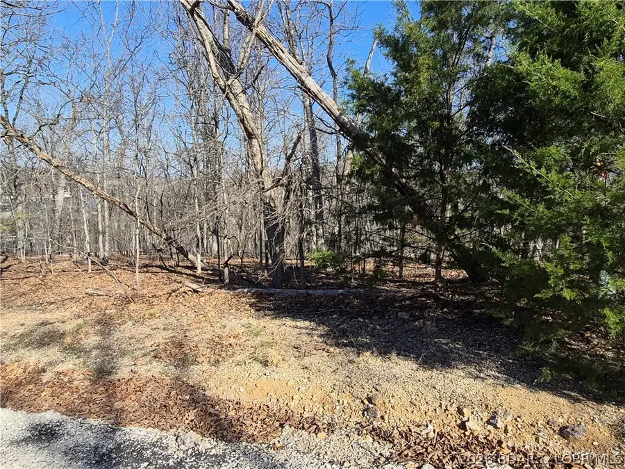 Lot 652 Clover Point, Village Of Four Seasons, MO 65020 - #3
