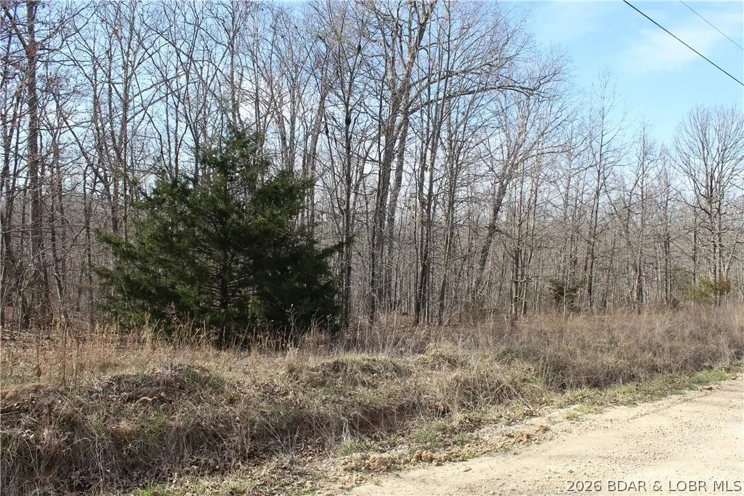 Lot B-11 Cali Court, Gravois Mills, MO 65037 - #1