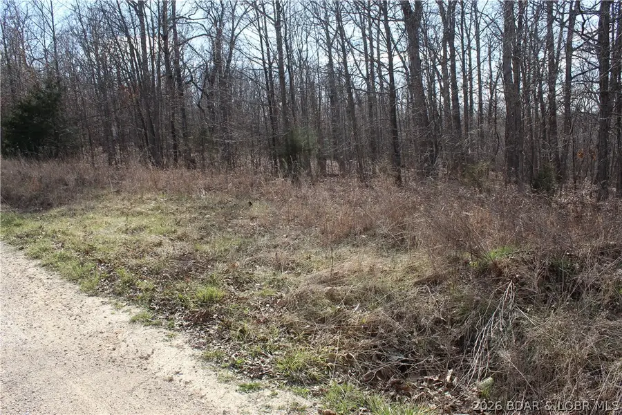 Lot B-11 Cali Court, Gravois Mills, MO 65037 - #3