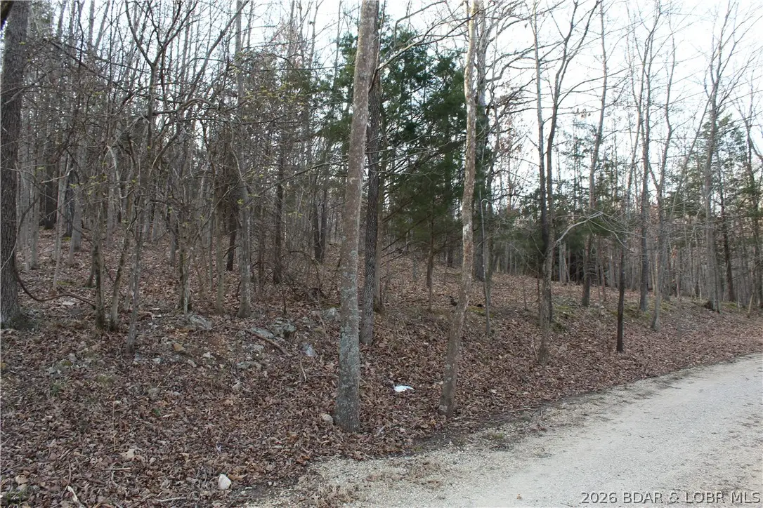 Lot 39 Grey Wolf Road, Gravois Mills, MO 65037 - #1