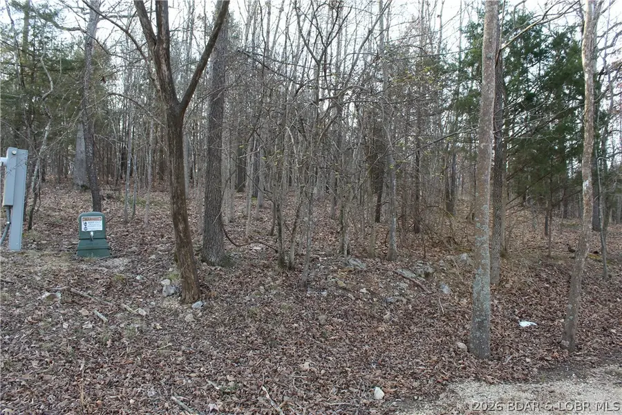 Lot 39 Grey Wolf Road, Gravois Mills, MO 65037 - #2