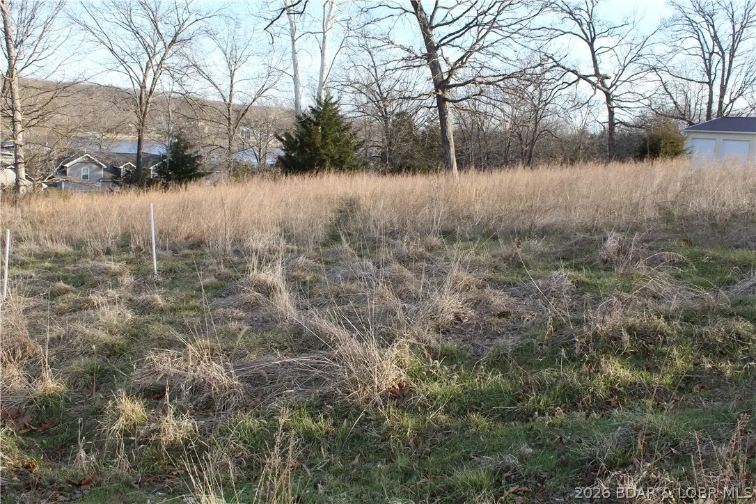 Lot C-7 Country Life Road, Gravois Mills, MO 65037 - #1