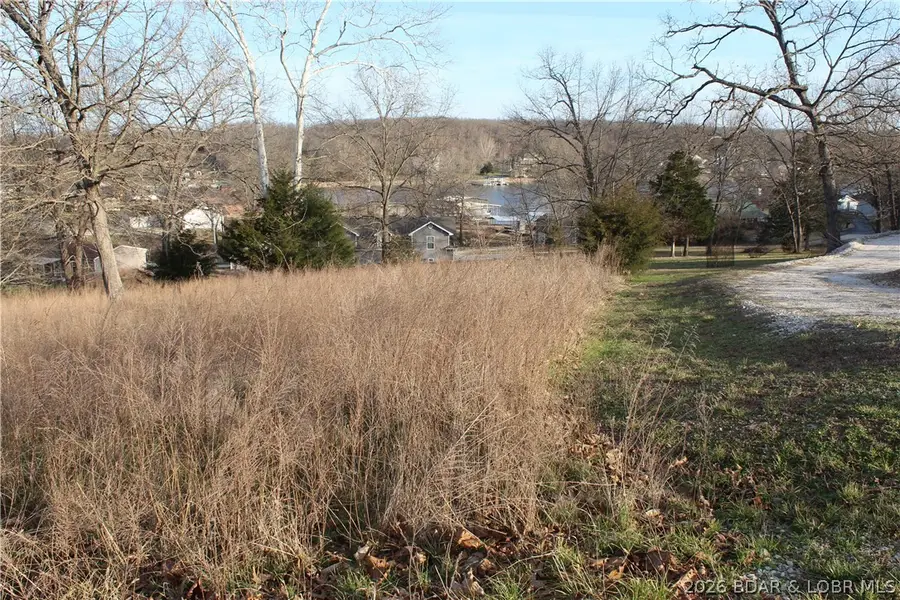 Lot C-7 Country Life Road, Gravois Mills, MO 65037 - #3