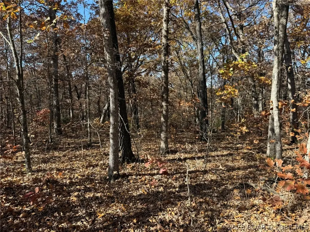 40 Acres Whitetail Way, Lincoln, MO 65338 - #1