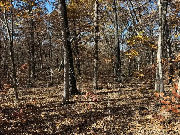40 Acres Whitetail Way, Lincoln, MO 65338