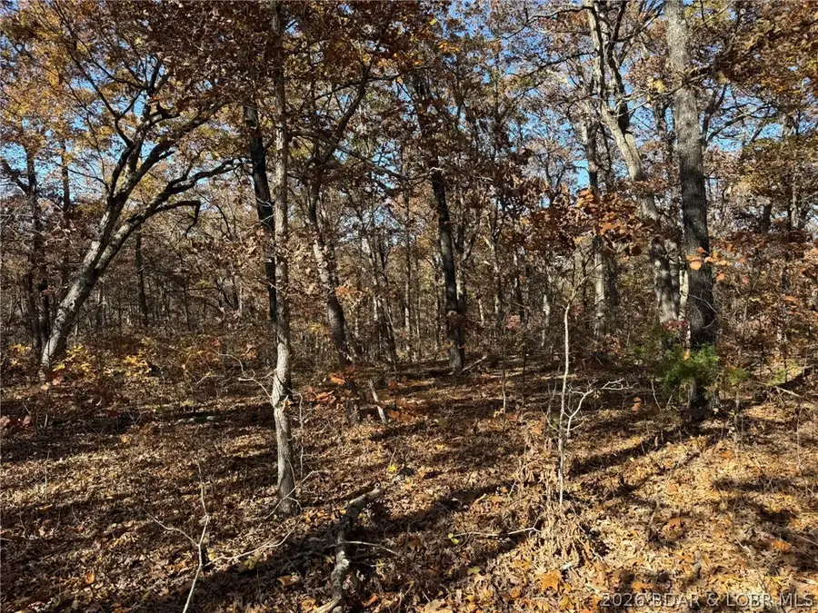 40 Acres Whitetail Way, Lincoln, MO 65338 - #2