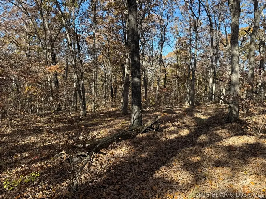 40 Acres Whitetail Way, Lincoln, MO 65338 - #3