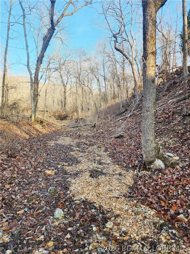 Lot 8 State J Road, Roach, MO 65787 - #2