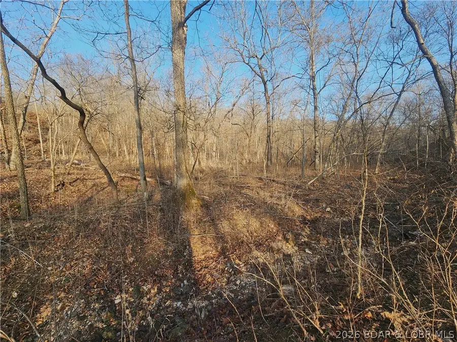 Lot 8 State J Road, Roach, MO 65787 - #3
