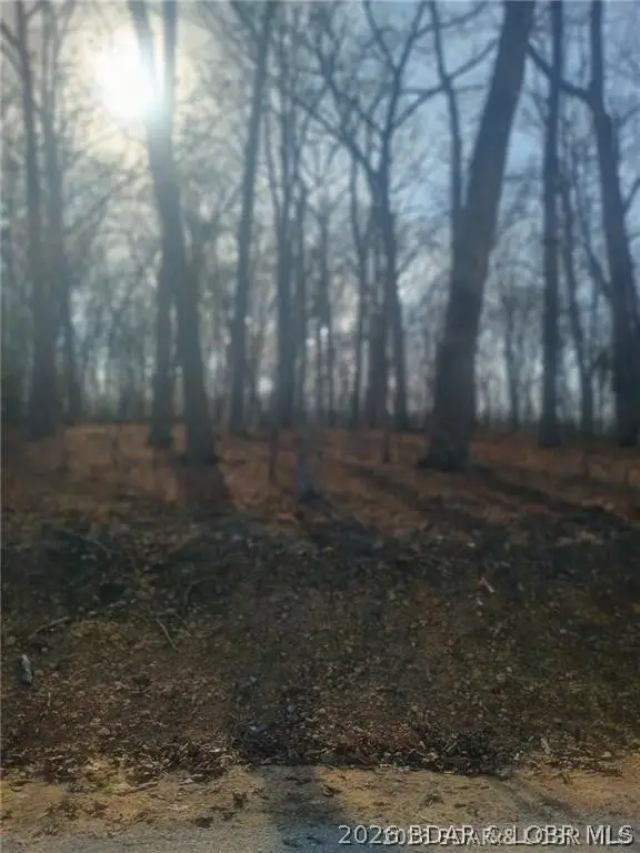 LOT TBD 344 Austin Circle, Village Of Four Seasons, MO 65049 - #3